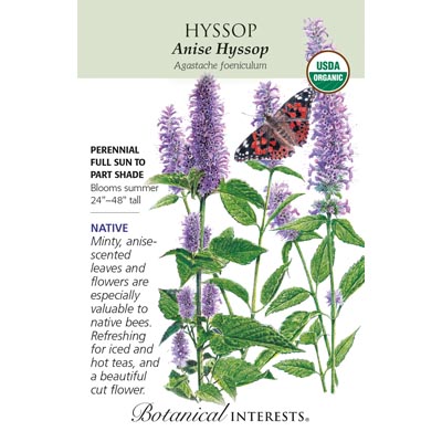 HYSSOP ANISE ORG