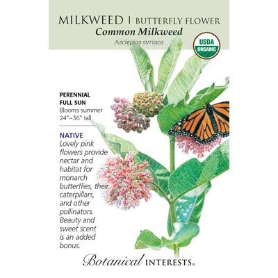 MILKWEED COMMON ORG