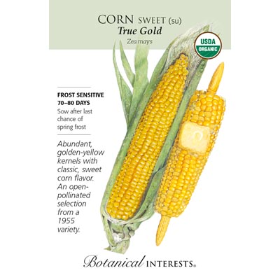 CORN SWT TRUE GOLD ORG