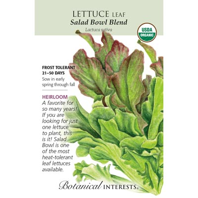 LETTUCE LEAF SALAD BOWL BLEND OR