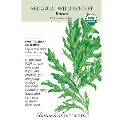 ARUGULA WILD ROCKET ROCKY ORG