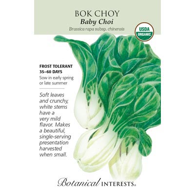 BOK CHOY BABY CHOI ORG