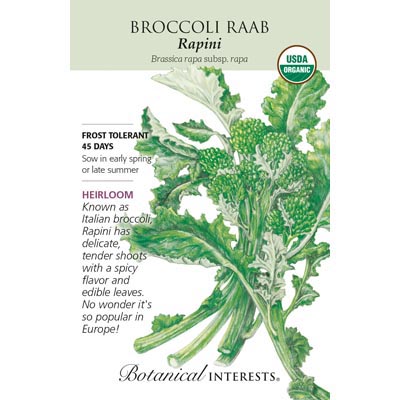 BROCCOLI RAAB RAPINI ORG