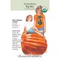 PUMPKIN BIG MAX ORG