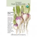 TURNIP PURPLE TOP WHITE GLOBE OR