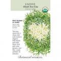 ENDIVE OLESH TRES FINE ORG