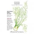 FENNEL FINOCCHIO