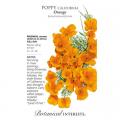 POPPY CALIFORNIA ORANGE