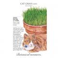 CAT GRASS
