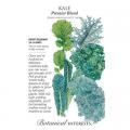 KALE PREMIER BLEND