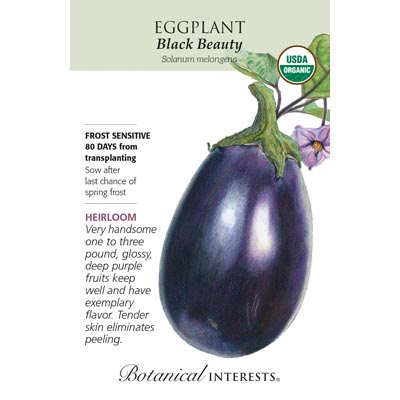 EGGPLANT BLACK BEAUTY ORG