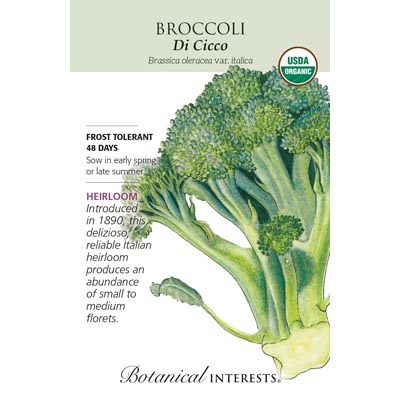 BROCCOLI DI CICCO ORG