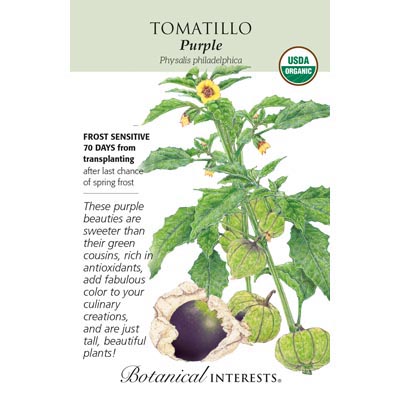 TOMATILLO PURPLE ORG