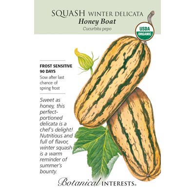 SQUASH WINTER DELICATA ORG