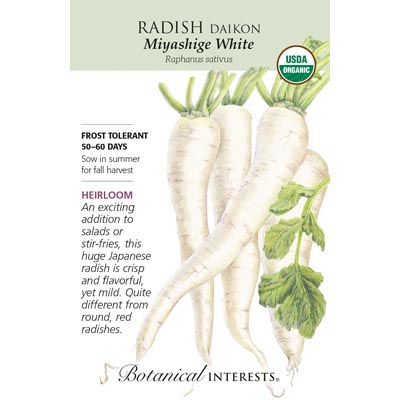 RADISH DAIKON (WHITE) ORG
