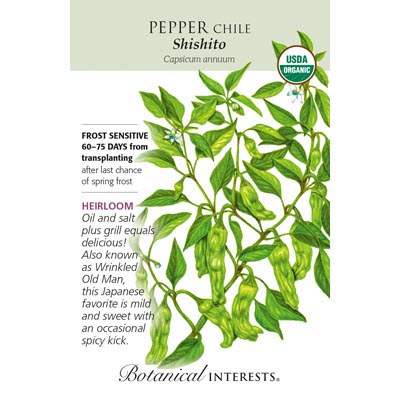PEPPER CHILE SHISHITO ORG