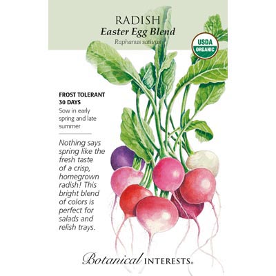 RADISH EASTER EGG BLEND ORG