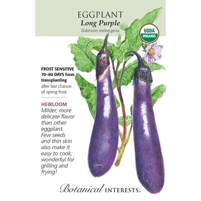 EGGPLANT LONG PURPLE ORG
