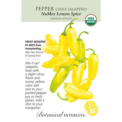 PEPPER CHILE JALAPENO LEMON ORG