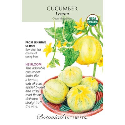 CUCUMBER LEMON ORG