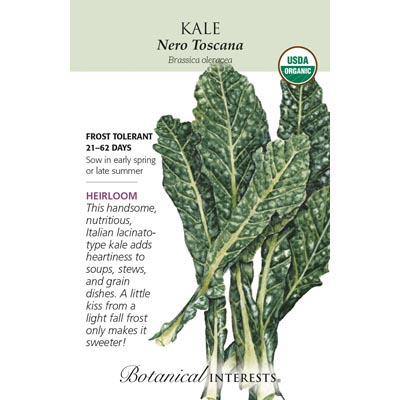 KALE ITALIAN NERO TOSCANA ORG