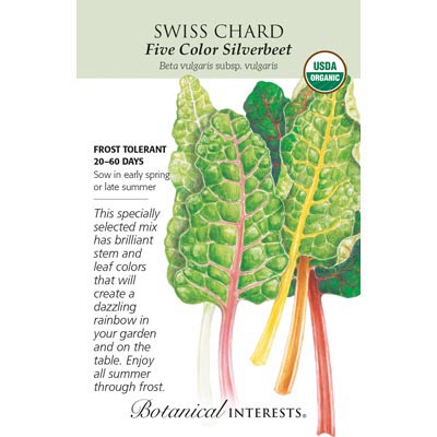 SWISS CHARD FIVE COLOR ORG