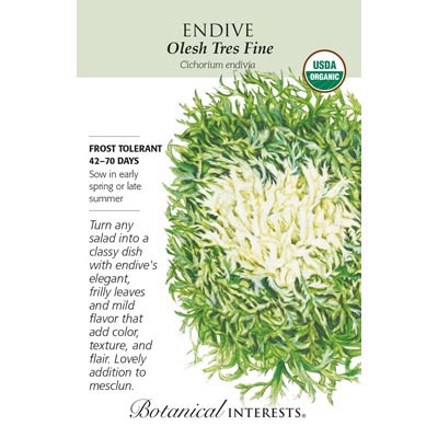 ENDIVE OLESH TRES FINE ORG