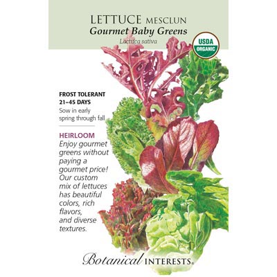 LETTUCE MESCLUN GRMT BABY ORG