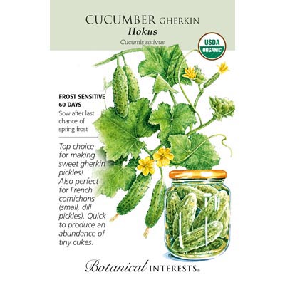 CUCUMBER GHERKIN HOKUS ORG