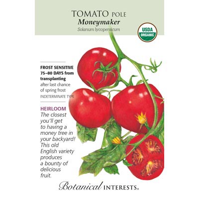 TOMATO POLE MONEYMAKER ORG