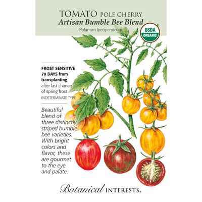 TOMATO CHERRY ARTISAN BMBLB ORG