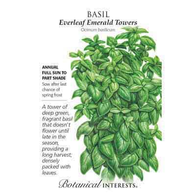 BASIL EVERLEAF EMERALD TOWERS