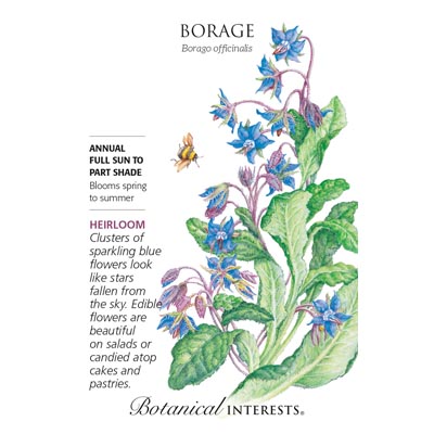 BORAGE