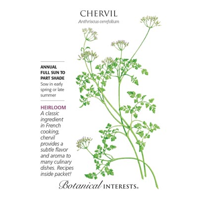 CHERVIL