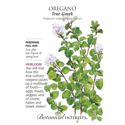 OREGANO TRUE GREEK