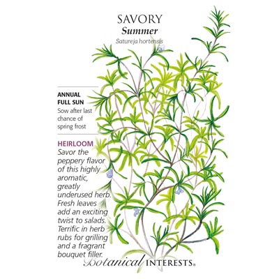 SUMMER SAVORY