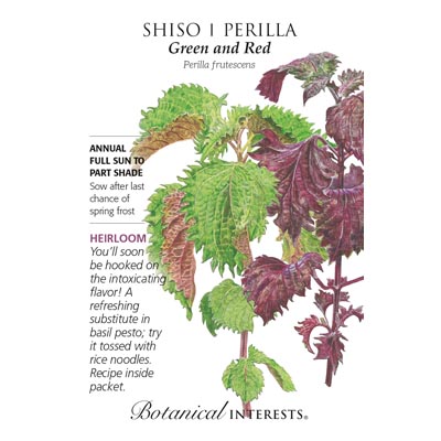 SHISO/PERILLA GREEN & RED