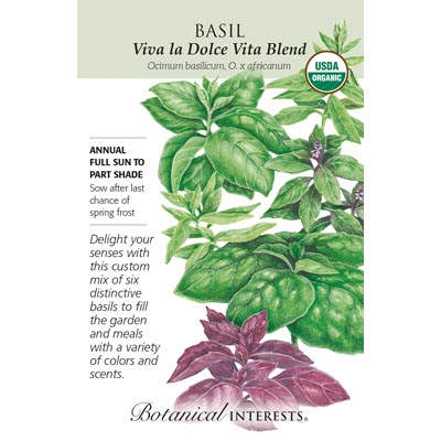 BASIL BLEND VIVA LA DOLCE VITA