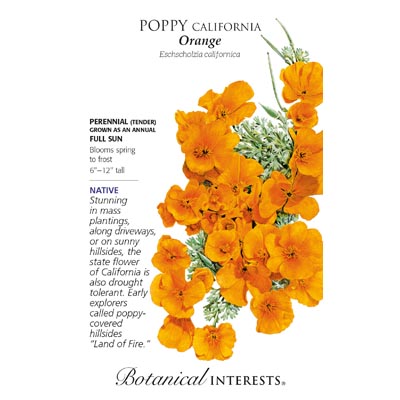 POPPY CALIFORNIA ORANGE