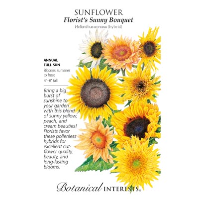 SUNFLOWER FLORIST'S BOUQUET HYBR