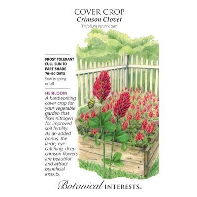 COVER CROP CRIMSON CLOVER