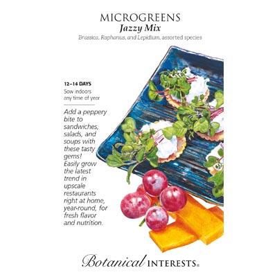 MICROGREENS JAZZY MIX