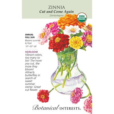 ZINNIA CUT AND COME AGAIN ORG