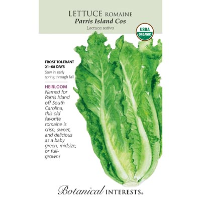 LETTUCE ROMAINE PARRIS ISLE ORG