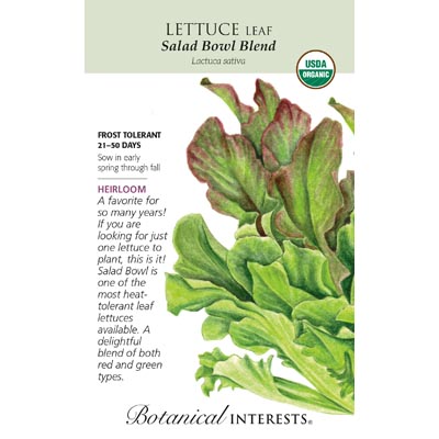 LETTUCE LEAF SALAD BOWL BLND ORG