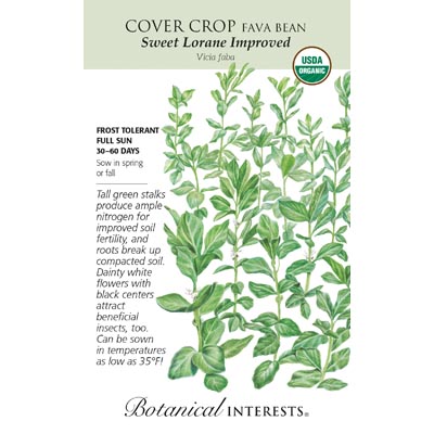 COVER CROP FAVA BEAN ORG