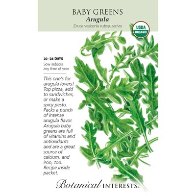 BABY GREENS ARUGULA ORG