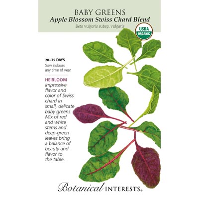 BABY GREENS SWISS CHARD BLND ORG