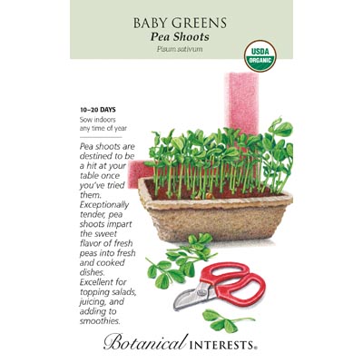 BABY GREENS PEA SHOOTS ORG