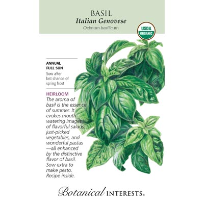 BASIL ITALIAN GENOVESE ORG